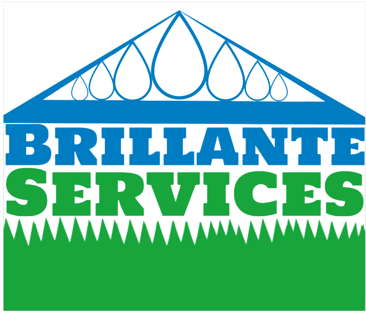 Logo_brillante_services